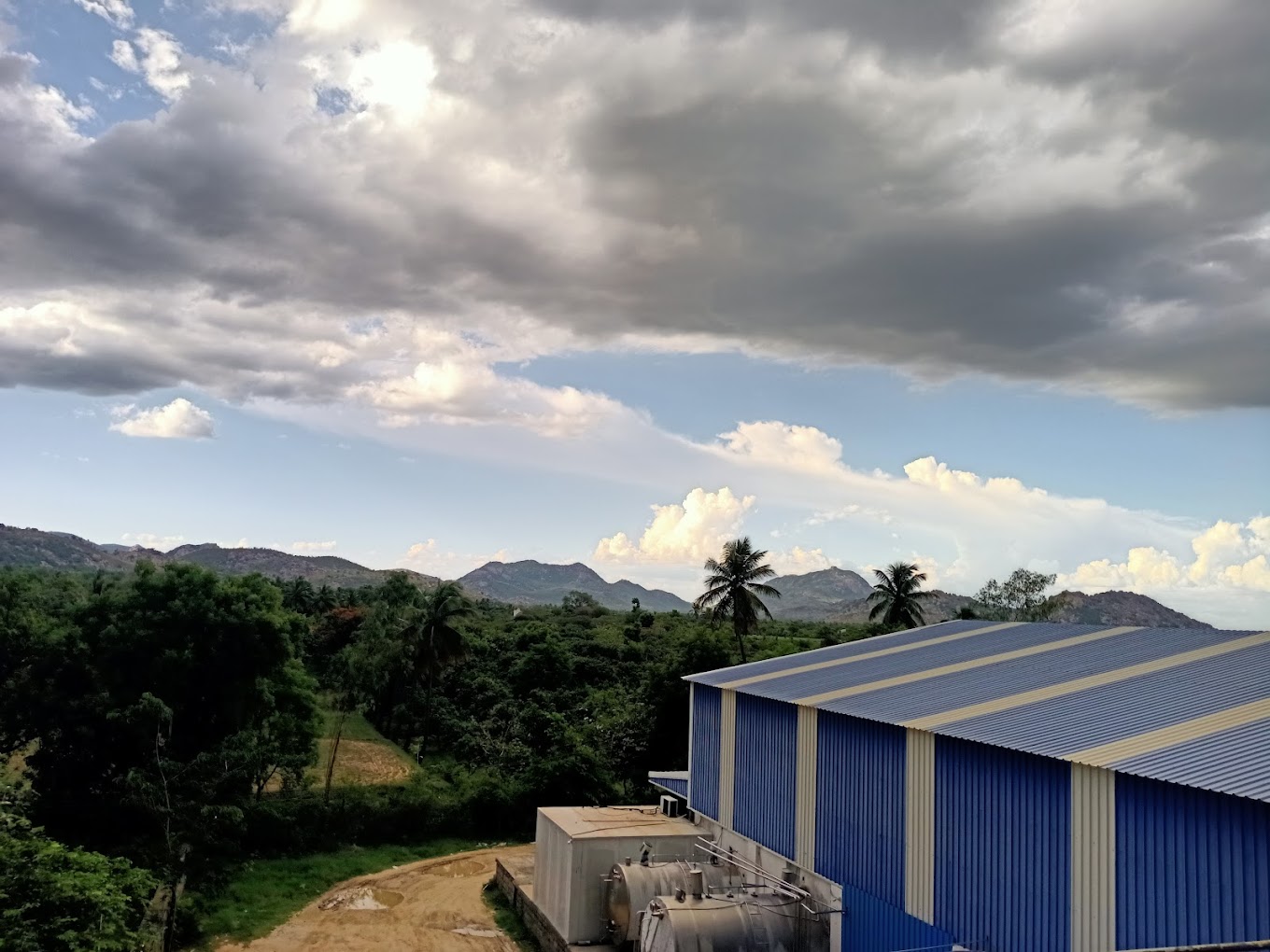 Fresh dairy products from Panda Dairy